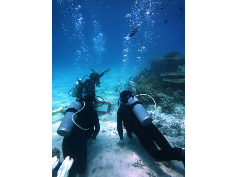 [Okinawa ・ Iriomote Island] Experience Diving(One day course)の紹介画像