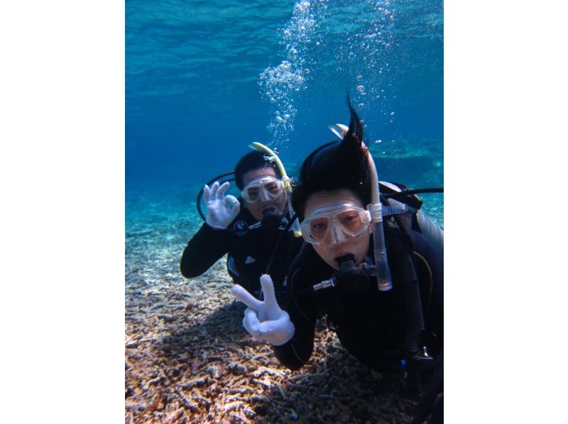[Okinawa ・ Iriomote Island] Experience Diving(One day course)の紹介画像