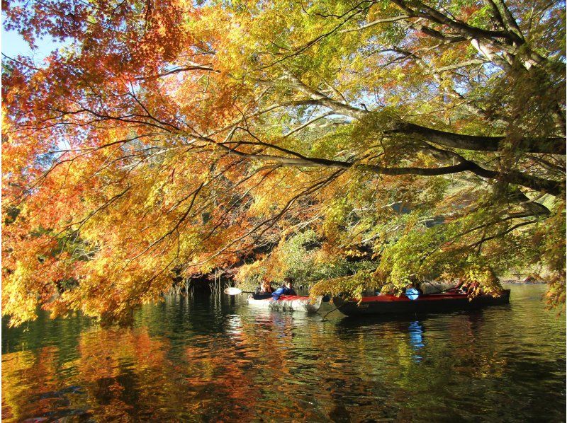 【みどり市草木湖・群馬県】かぬ～っこ　3歳から乗れる！（半日）紅葉草木湖カヌーツアー☆写真無料！愛犬も乗れる！の紹介画像