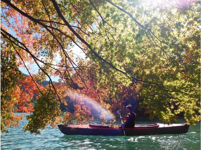 [Midori City Kusagi Lake, Gunma Prefecture] Canoe tour for ages 3 and up! (Half-day) Kusagi Lake canoe tour ☆ Free photos during the tour!の紹介画像