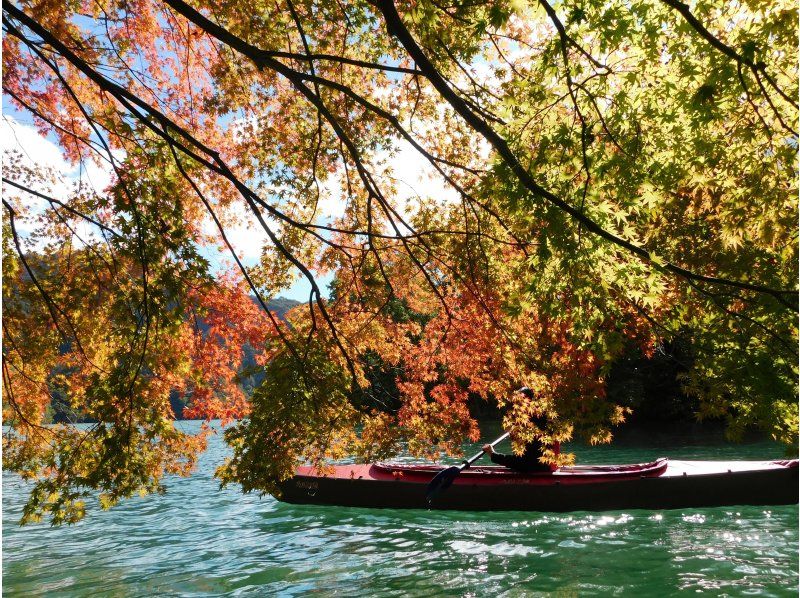 【みどり市草木湖・群馬県】かぬ～っこ　3歳から乗れる！（半日）紅葉草木湖カヌーツアー☆写真無料！愛犬も乗れる！の紹介画像