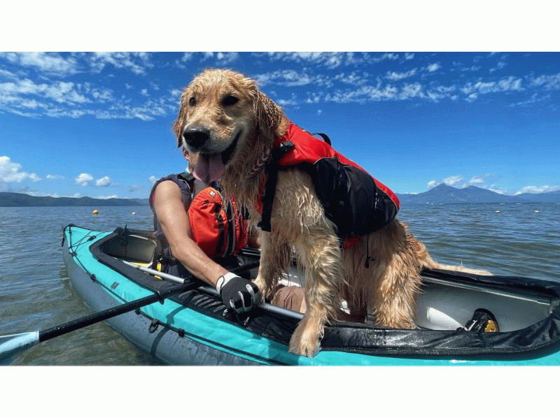【みどり市草木湖・群馬県】かぬ～っこ　3歳から乗れる！（半日）紅葉草木湖カヌーツアー☆写真無料！愛犬も乗れる！の紹介画像