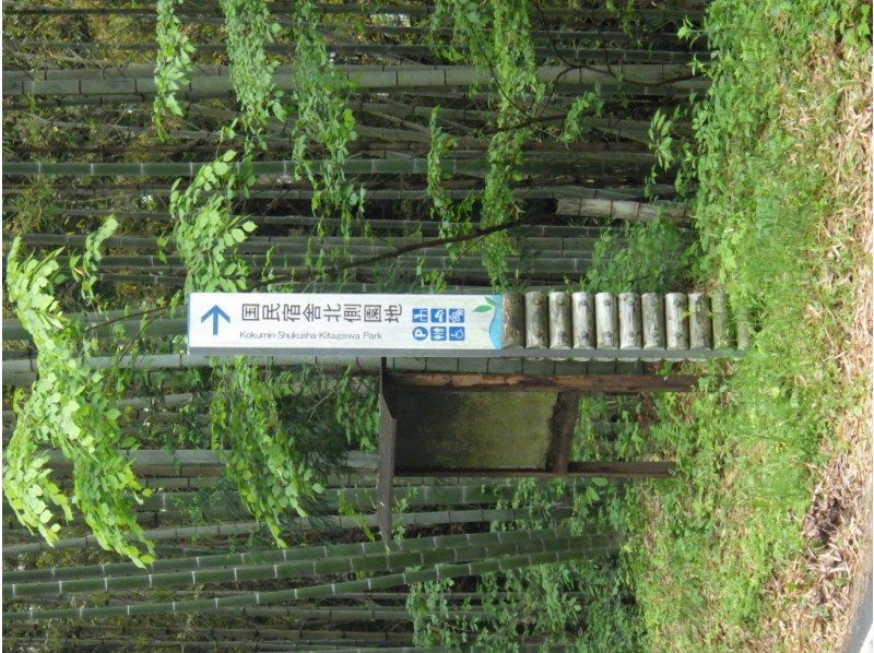 [Midori City Kusagi Lake, Gunma Prefecture] Canoe tour for ages 3 and up! (Half-day) Kusagi Lake canoe tour ☆ Free photos during the tour!の紹介画像