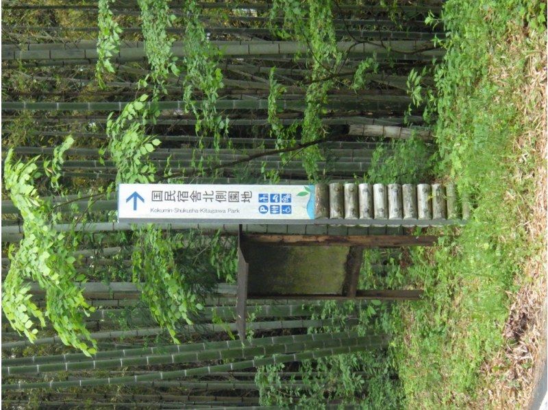 群馬縣綠道市☆3歲以上即可乘車！草崎湖獨木舟之旅☆旅行中免費照片！の紹介画像