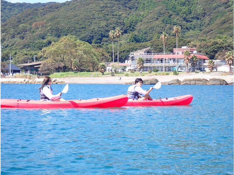 【高知・土佐清水】海域公園・竜串湾でシーカヤックツアーの紹介画像