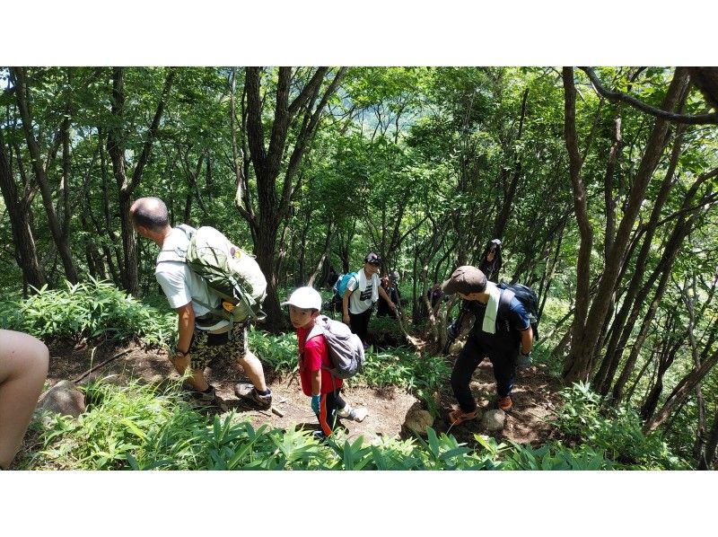 【栃木県・奥日光】秋の絶景紅葉を楽しもう！ネイチャートレッキング社山【催行決定】の紹介画像