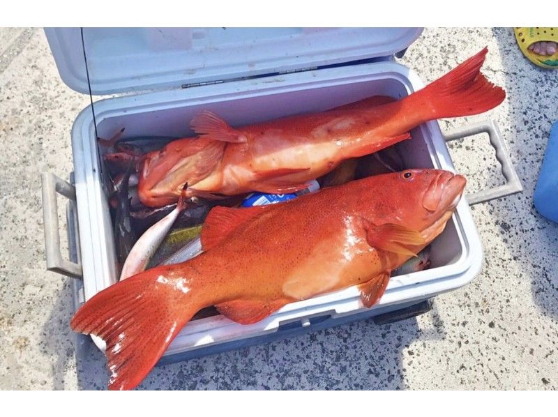 【石垣島】手ぶらOK！初心者・ファミリー大歓迎✨半日グルクン釣り体験！サビキ釣りで気軽に県魚グルクンを釣ろう！（午前・午後開催）の紹介画像