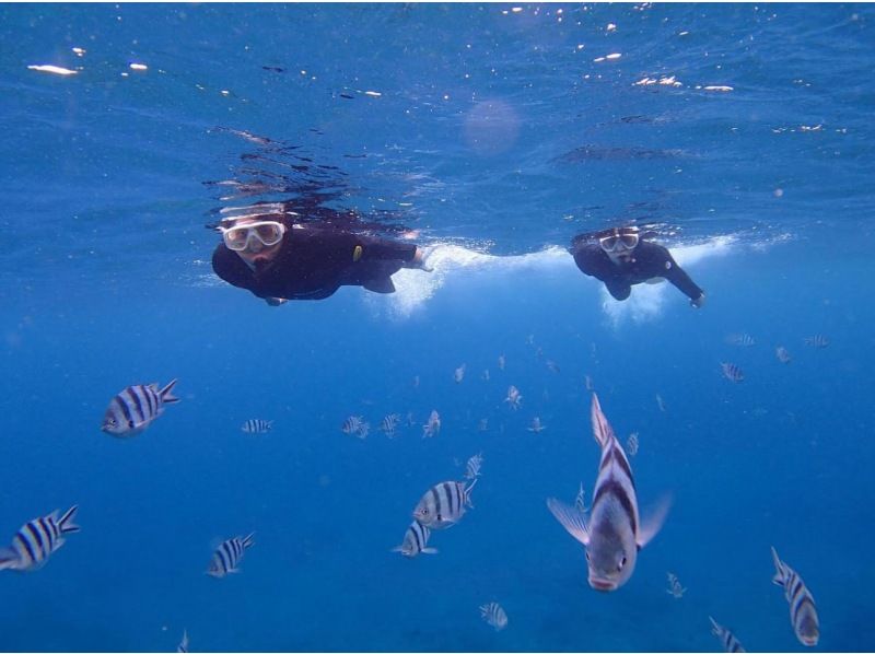 シュノーケル・ビーチ・宜野湾【施設完備・シュノーケル・魚に餌付け・写真プレゼント】の紹介画像