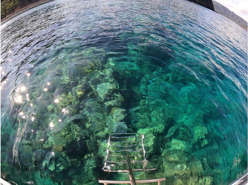 【奄美大島・南部】サンゴと熱帯魚の楽園へ・ボートに乗って奄美大島の海へ繰り出そう！の紹介画像