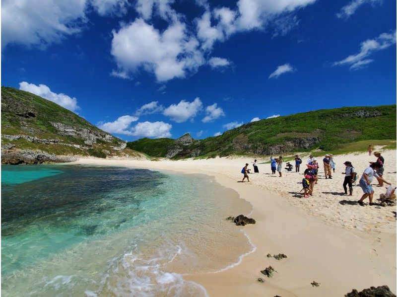 [小笠原海上一日游]登陆南岛，寻找海豚和鲸鱼，浮潜都已准备就绪！计划详情の紹介画像