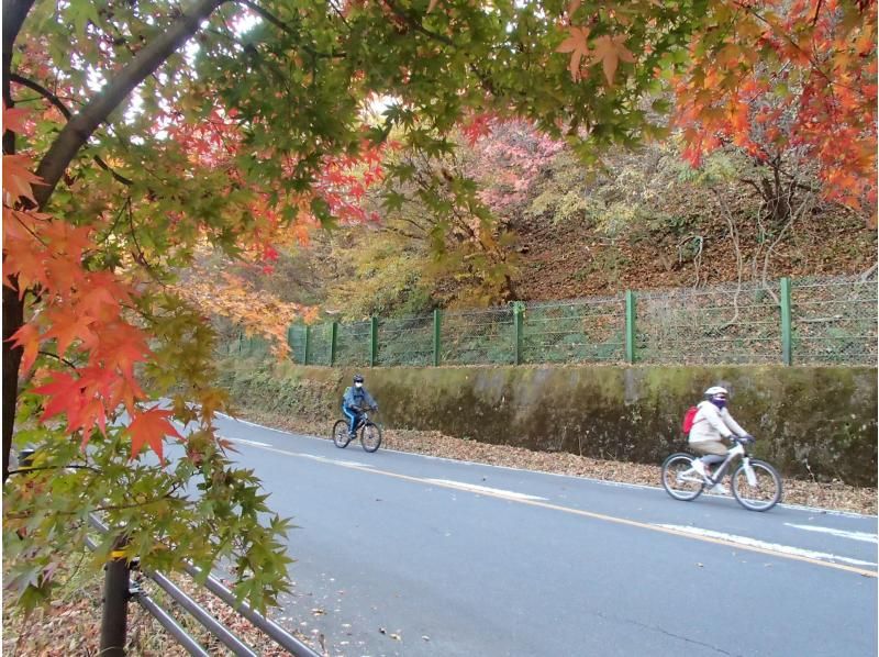 【軽井沢／長野群馬】紅葉◎秋の碓氷峠『アウトドアスポーツ三昧』サイクリング＆廃線ウォーク＋カヌー カヤック体験　外遊びたっぷりロングツアーの紹介画像