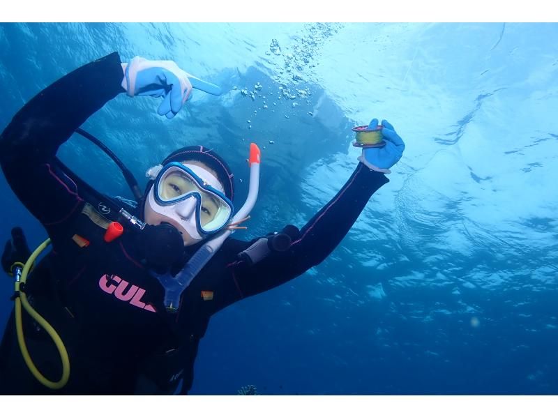 AOWライセンス講習２日間 in 石垣島【ウミガメ、マンタに会えるかも！】高画質の写真・動画無料プレゼントの紹介画像