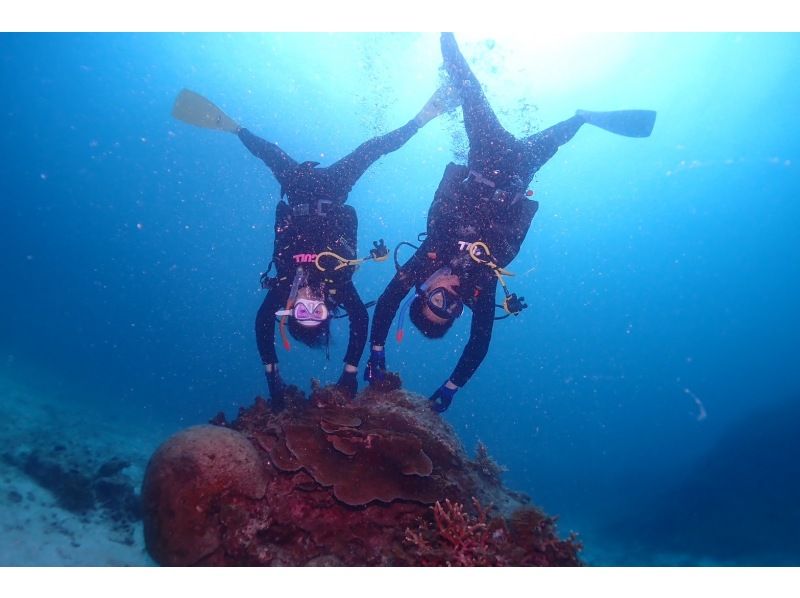 AOWライセンス講習２日間 in 石垣島【ウミガメ、マンタに会えるかも！】高画質の写真・動画無料プレゼントの紹介画像