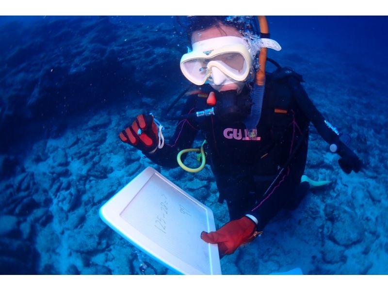 AOWライセンス講習２日間 in 石垣島【ウミガメ、マンタに会えるかも！】高画質の写真・動画無料プレゼントの紹介画像