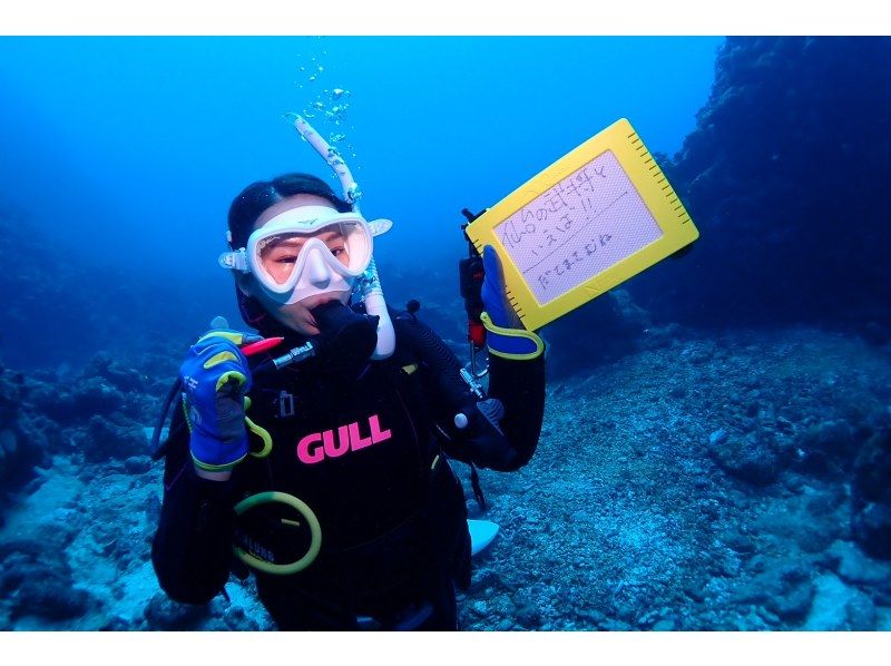 AOWライセンス講習２日間 in 石垣島【ウミガメ、マンタに会えるかも！】高画質の写真・動画無料プレゼントの紹介画像