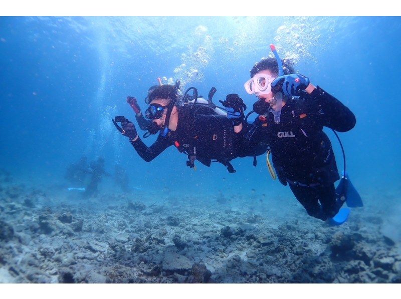 AOWライセンス講習２日間 in 石垣島【ウミガメ、マンタに会えるかも！】高画質の写真・動画無料プレゼントの紹介画像