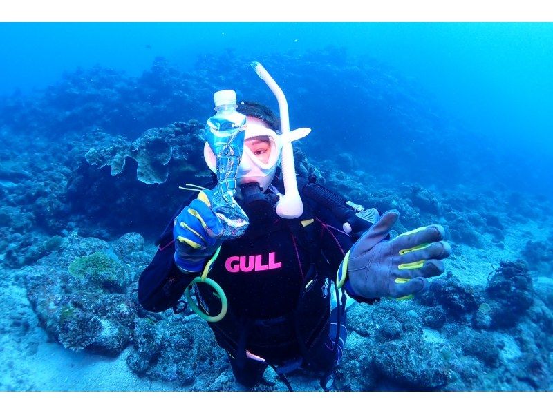 AOWライセンス講習２日間 in 石垣島【ウミガメ、マンタに会えるかも！】高画質の写真・動画無料プレゼントの紹介画像