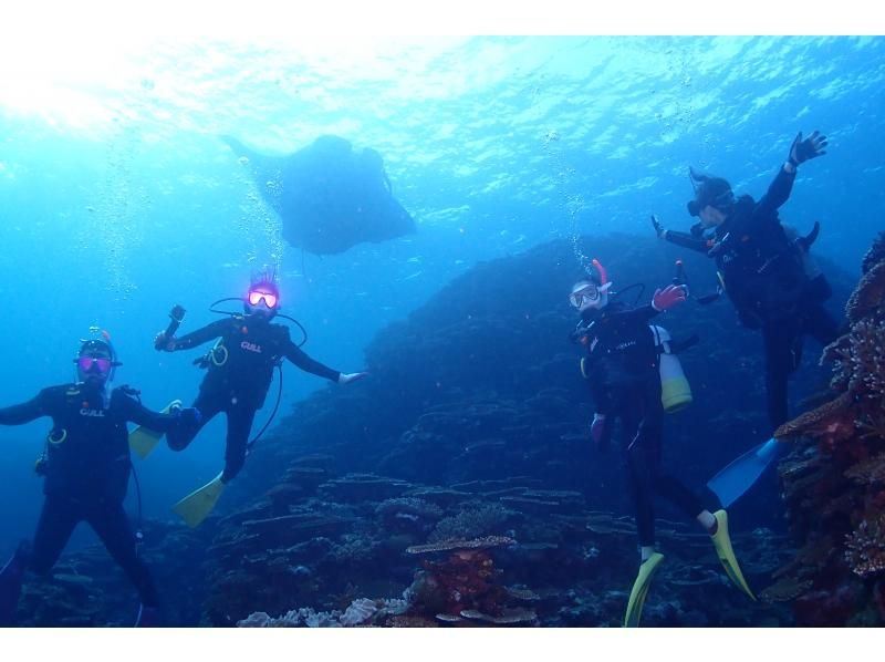 【AOWライセンス講習２日間 in 石垣島】ウミガメ、マンタに会えるかも！高画質の写真・動画無料プレゼント