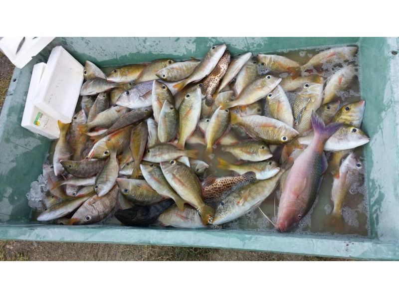 【沖縄北部・オクマ】地元漁師と一緒に沖縄の県魚グルクン（タカサゴ）釣り又は底物（そこもの）船釣りツアーの紹介画像