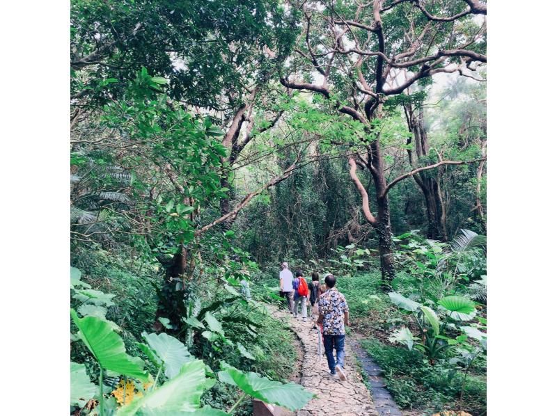 Oct.[Okinawa Naha arrivals and departures] Power spot tour ★ World heritage group "Saiba Gyoen" & "Kutakajima" guided tour!の紹介画像