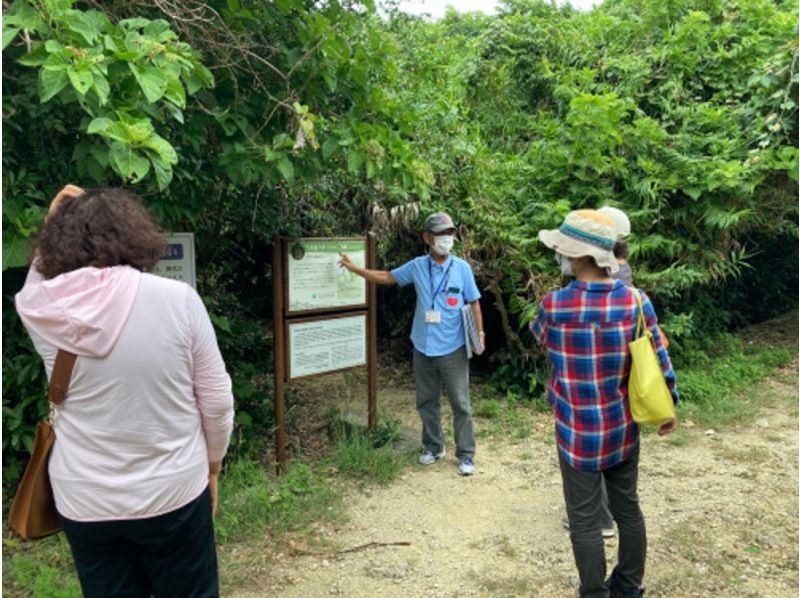 Oct.[Okinawa Naha arrivals and departures] Power spot tour ★ World heritage group "Saiba Gyoen" & "Kutakajima" guided tour!の紹介画像