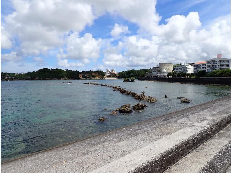 西海岸ビーチダイビング（その日の1番キレイな海をご案内！）の紹介画像