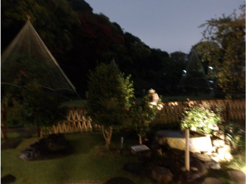 【東京・早稲田・1/24（土）開催】日本庭園ナイトヨガ～2本立てでリラックスの紹介画像