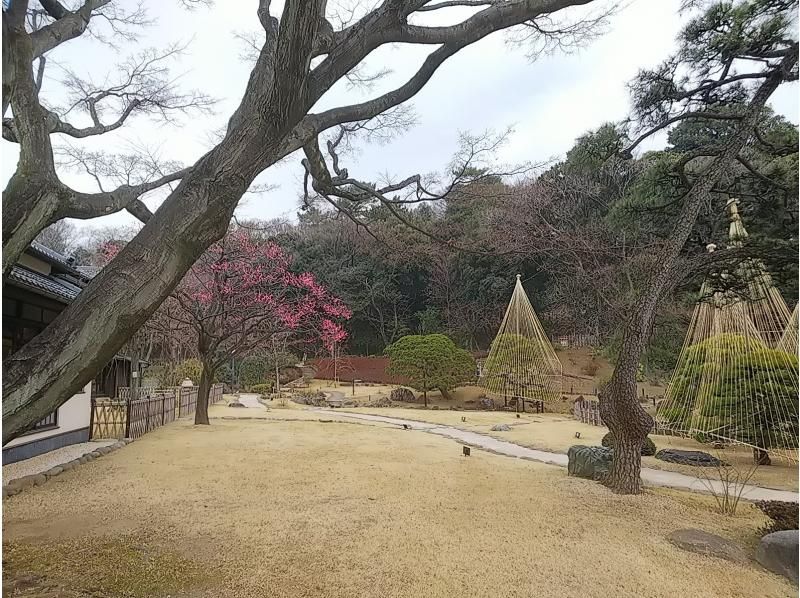 【東京・早稲田・9/16（月祝）開催】日本庭園ヨガ・アンチエイジング薬膳茶（子連れ可能）の紹介画像