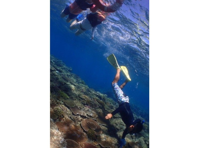 [โอกินาว่าItoman] เด็ก ๆ ก็สามารถสนุกได้! ถึงจุดโดยเรือ!การดำน้ำตื้น(Snorkeling)ง่ายの紹介画像