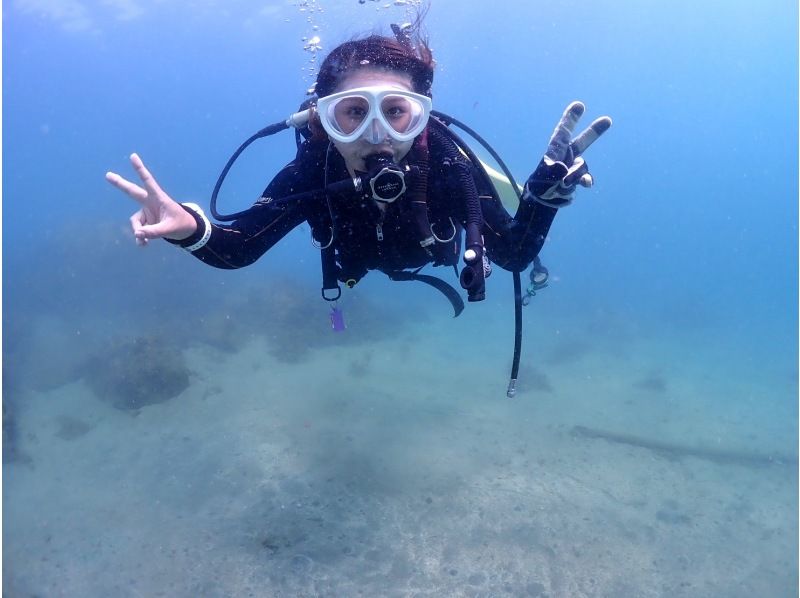 【四国・徳島】秋からのダイビングベストシーズン！参加の皆さんの水中写真もプレゼント！初心者歓迎　ビーチ体験ダイビングの紹介画像