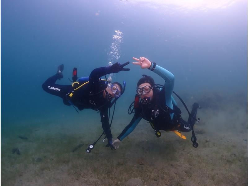 【四国・徳島】秋からのダイビングベストシーズン！参加の皆さんの水中写真もプレゼント！初心者歓迎　ビーチ体験ダイビングの紹介画像