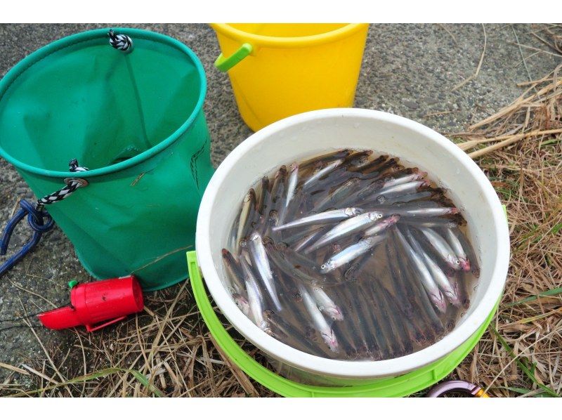 【石霰市 一日遊】淡季（僅限春季秋季）可在釣魚池釣公魚並遊覽週邊景點の紹介画像