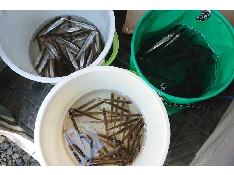 【石霰市 一日遊】淡季（僅限春季秋季）可在釣魚池釣公魚並遊覽週邊景點の紹介画像