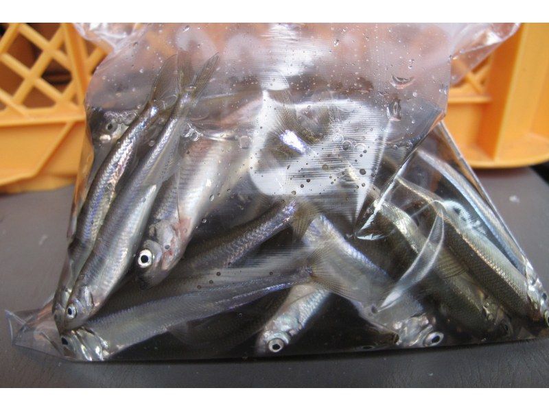 【石霰市 一日遊】淡季（僅限春季秋季）可在釣魚池釣公魚並遊覽週邊景點の紹介画像