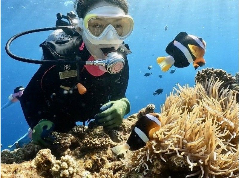 【沖縄本島・青の洞窟・貸切体験ダイビング】『高確率』ボートで青の洞窟へ★持ち物は水着だけ★当日予約OK★お1人様大歓迎★バナナボート有★の紹介画像