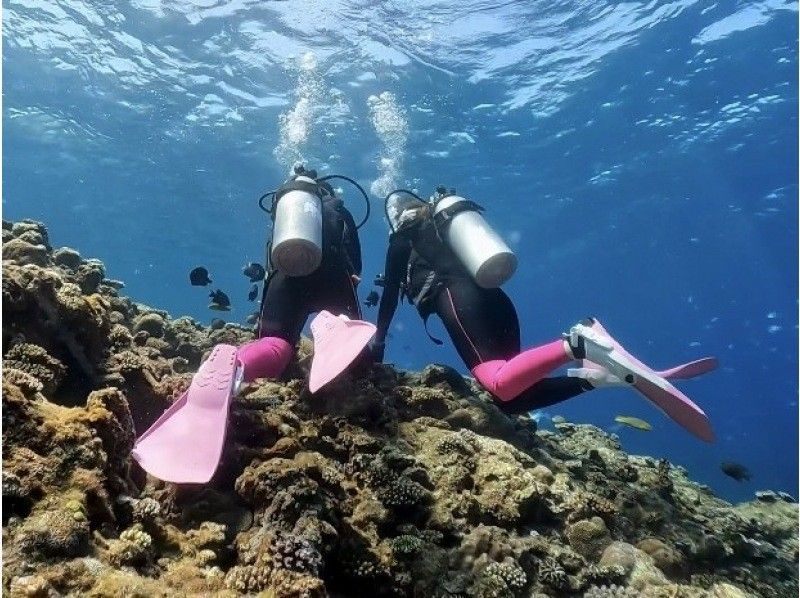 What is scuba diving? Introducing useful information for beginners such as necessary equipment and popular diving spots!