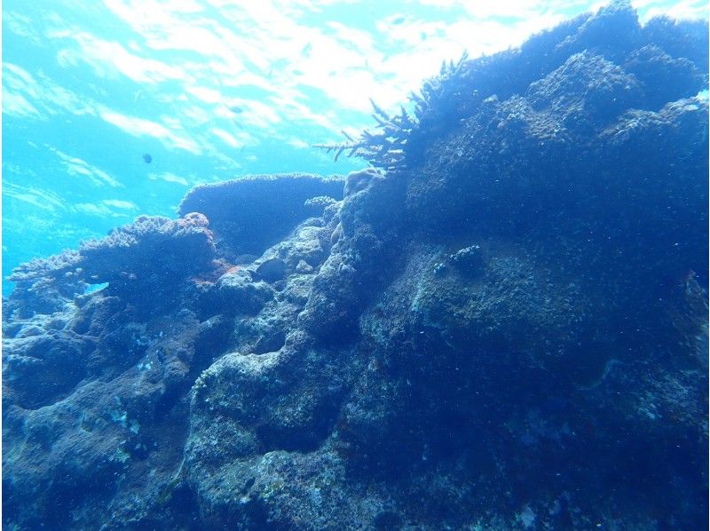 在喀拉馬邦（Kerama）和藍洞（Blue Cave）呼吸管體驗深潛和浮潛の紹介画像