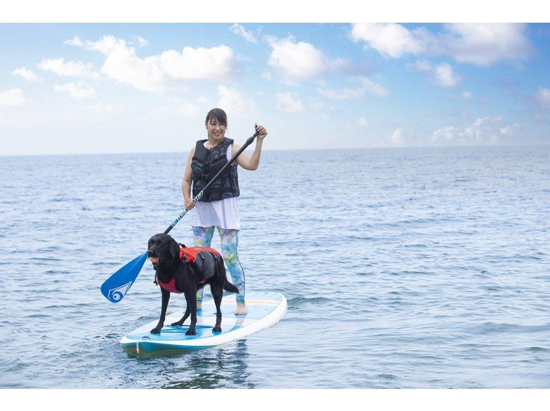 【滋賀・大津】びわ湖・SUP体験　愛犬と一緒にSUP体験＆クルージング！の紹介画像