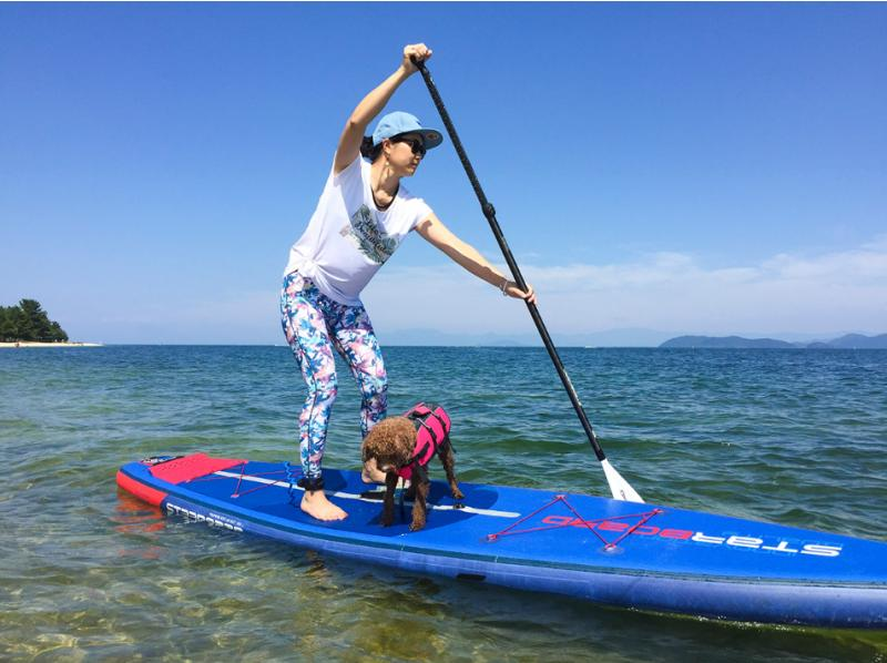 [Shiga/Otsu] Lake Biwa / SUP Experience SUP Experience &Cruising with your dog!の紹介画像