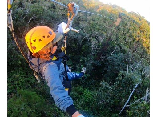 Okinawa, Northern Yanbaru, Higashi Village] 5 zip lines ☆ Guide