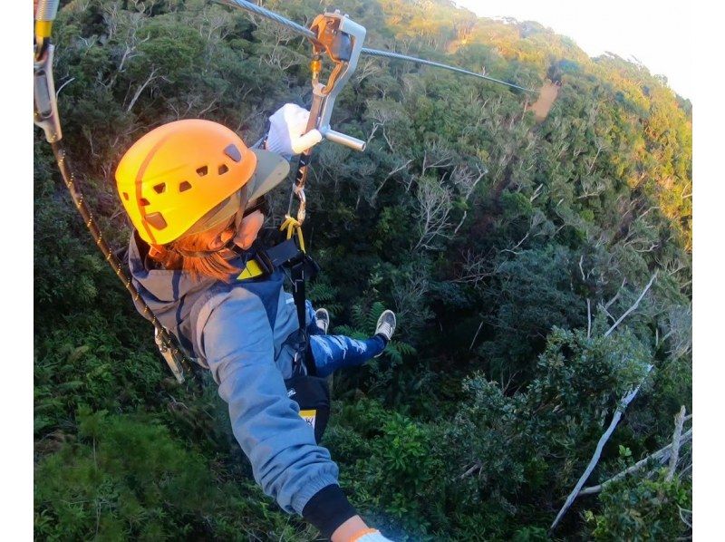 沖縄 北部やんばる 東村】5本のジップライン☆ガイド付き！体重25kg