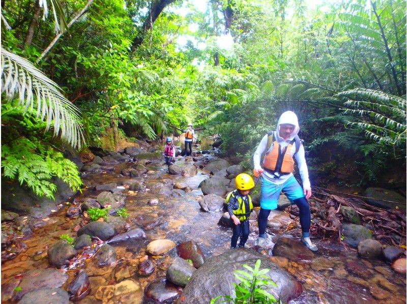 Iriomote Island Trekking Recommended Half-Day Tour Ranking Kura Falls Short Trekking for Children Parents and Children