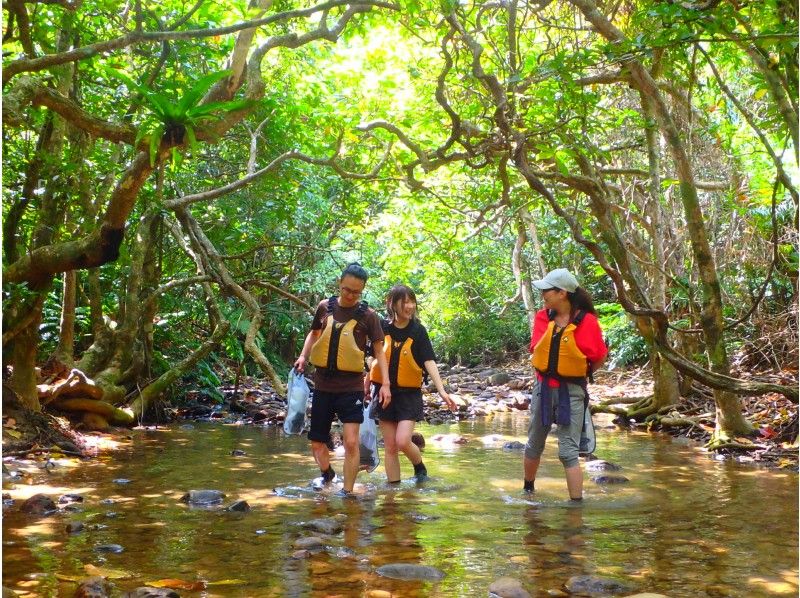 西表島健行推薦 半日遊排名 叢林健行探索 河流健行 情侶紅樹林