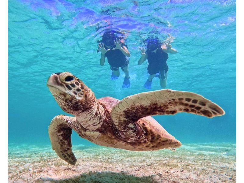 [宮古島/半天]免費照片資料和島嶼接送！ SUP/獨木舟與海龜浮潛★半天內熱門的活動！ [學生折扣計劃]の紹介画像