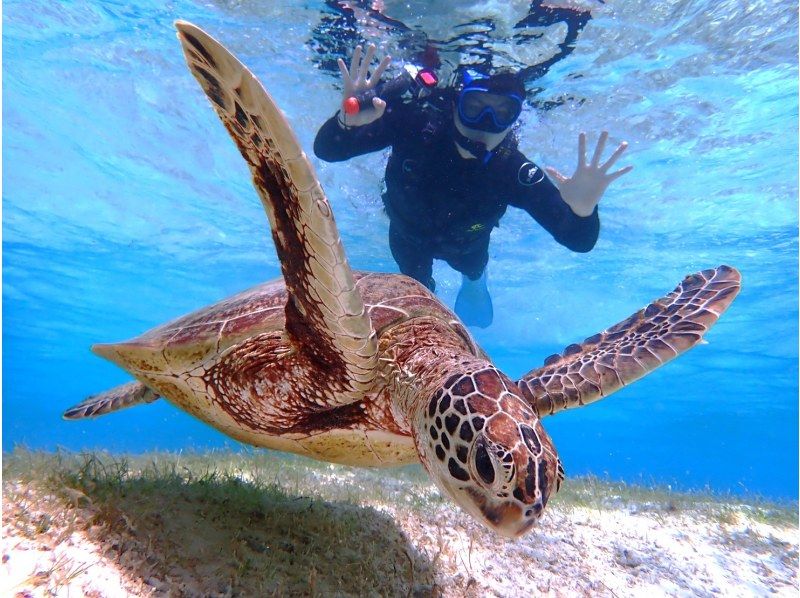 [宮古島/半天]免費照片資料和島嶼接送！ SUP/獨木舟與海龜浮潛★半天內熱門的活動！ [學生折扣計劃]の紹介画像