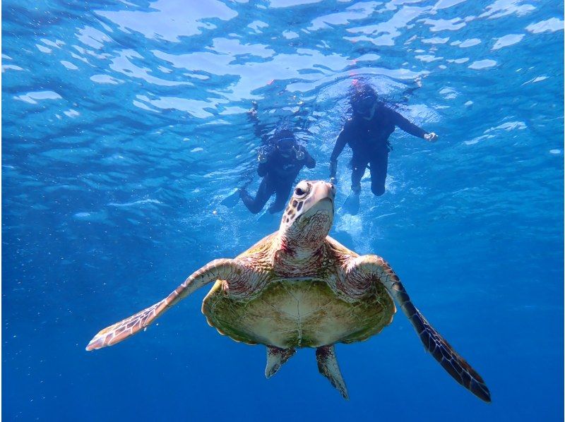 [宮古島/半天]免費照片資料和島嶼接送！ SUP/獨木舟與海龜浮潛★半天內熱門的活動！ [學生折扣計劃]の紹介画像