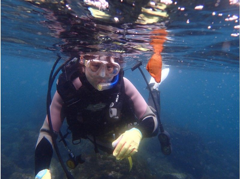 伊豆高原　東伊豆ファンダイブ 2ビーチダイブの紹介画像