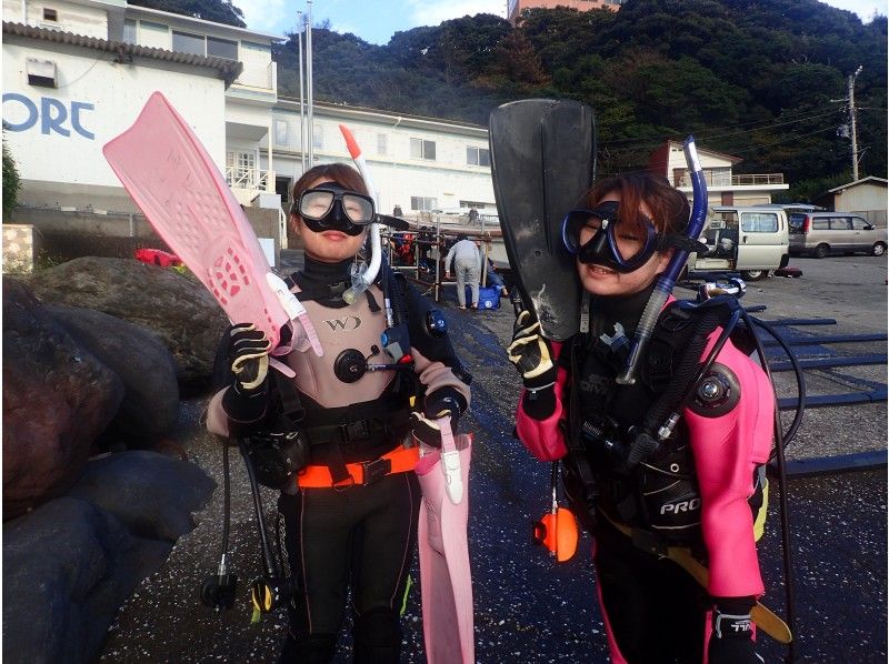 伊豆高原　東伊豆ファンダイブ 2ビーチダイブの紹介画像