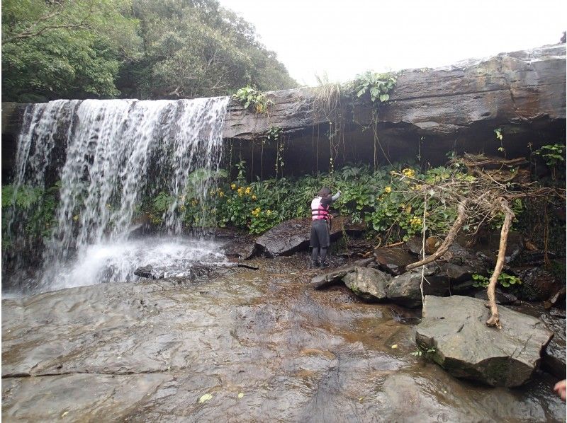 【沖縄・西表島】一日たっぷり！サンガラの滝へカヌー＆トレッキング＆シュノーケリングの紹介画像