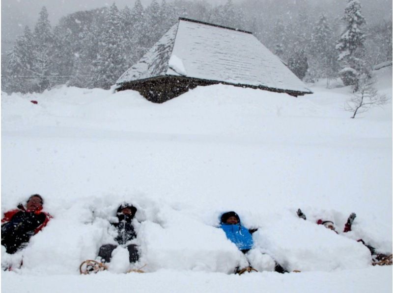 [นีกาตะ/ โทคามาชิ] เข้าใกล้หิมะ! ประสบการณ์การเล่นในหิมะและอาศัยอยู่ในประเทศหิมะの紹介画像